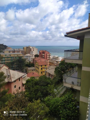 Deiva marina